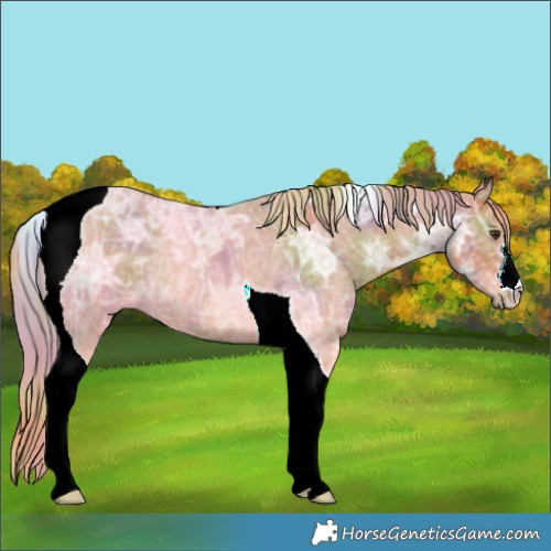 Horse Color:Nacre Chestnut Ice Tobiano 
