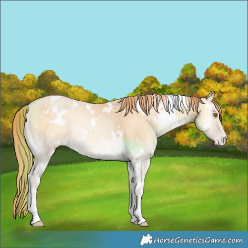 Horse Color:White Spotted Smoky Blue Onyx Pearl