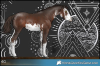 Horse Color:White Spotted Liver Chestnut Rabicano 