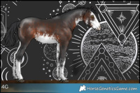 Horse Color:White Spotted Brown 