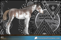 Horse Color:White Spotted Liver Chestnut Sabino 
