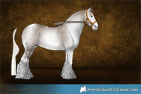 Horse Color:Gray White Spotted Silver Grullo Tobiano 