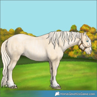 Horse Color:Palomino Roan Pearl  and Palomino Pearl 
