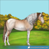 Horse Color:Gray Classic Champagne Pearl Tobiano 