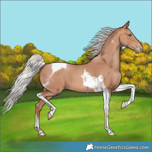 Horse Color:Silver Sable Champagne Tobiano 