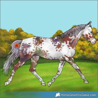 Horse Color:Nacre Silver Black Splash Tobiano 