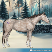 Horse Color:Classic Champagne Ice 