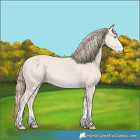 Horse Color:Smoky Creme Dun