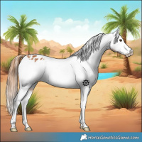 Horse Color:Chestnut Sabino Varnish 
