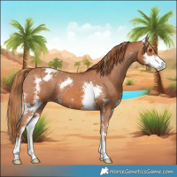 Horse Color:Chestnut Sabino Varnish 