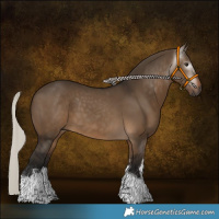 Horse Color:Gray White Spotted Silver Bay Dun Tobiano 