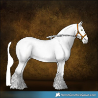 Horse Color:Gray Amber Champagne Dun 