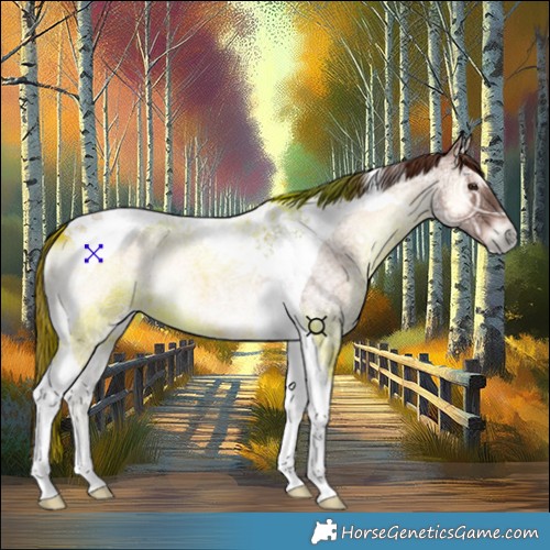 Horse Color:Red Onyx Ice Roan Tobiano 