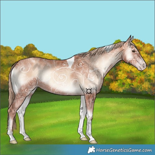 Horse Color:Gold Champagne Ice Onyx Tobiano 