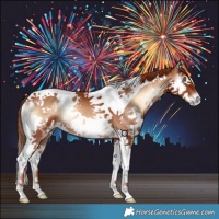 Horse Color:Red Onyx Splash Tobiano 