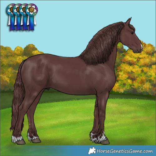 Horse Color:Chocolate Smoky Black 