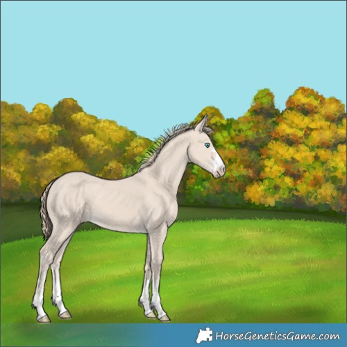 Horse Color:Chocolate Smoky Creme