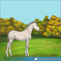 Horse Color:Chocolate Smoky Creme