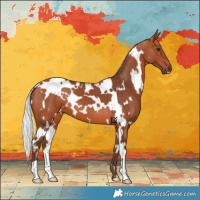 Horse Color:White Spotted Silver Bay 