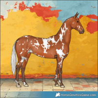 Horse Color:White Spotted Silver Bay 