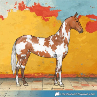 Horse Color:White Spotted Silver Bay 