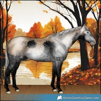 Horse Color:Gray Void Silver Smoky Black Pearl Splash 