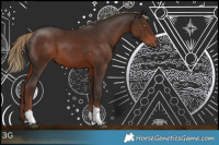 Horse Color:White Spotted Liver Chestnut Tobiano Rabicano