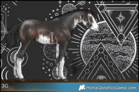 Horse Color:White Spotted Brown