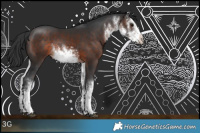 Horse Color:White Spotted Brown 