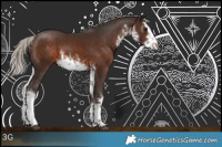 Horse Color:White Spotted Silver Bay