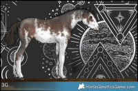 Horse Color:White Spotted Liver Chestnut Sabino Rabicano