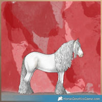 Horse Color:Gray Buckskin Roan Pearl Dun Splash Tobiano Frame Near Leopard Brindle 