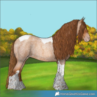 Horse Color:Gray Gold Champagne Roan Tobiano 