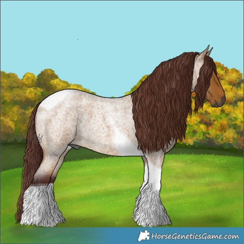 Horse Color:Gray Chocolate Buckskin Roan Tobiano 
