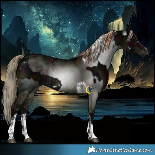 Horse Color:White Spotted Midnight Liver Chestnut Ice Sabino and Gray Midnight Liver Red Dun Ice Splash Tobiano