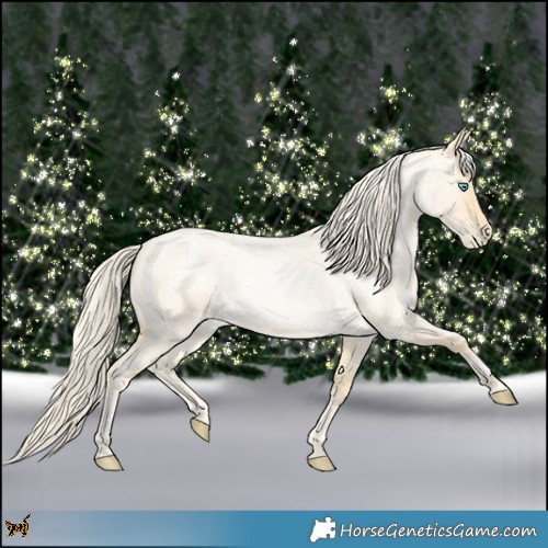 Horse Color:Palomino Roan Pearl  and Palomino Roan Pearl 