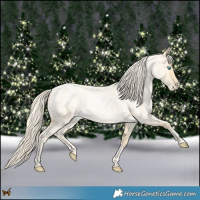 Horse Color:Palomino Roan Pearl  and Palomino Roan Pearl 