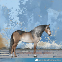 Horse Color:Gray Liver Red Dun 