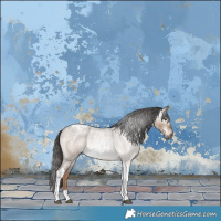 Horse Color:Gray Liver Red Dun Roan Tobiano Appaloosa