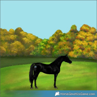 Horse Color:Gray Void Platinum Bay Dun Sabino Snowflake Varnish 