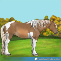 Horse Color:Chocolate Palomino Tobiano