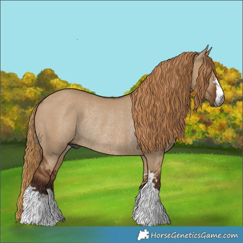 Horse Color:Gray Red Dun Rabicano 