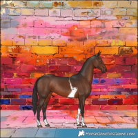 Horse Color:Liver Chestnut Tobiano 