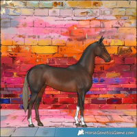 Horse Color:Liver Chestnut Tobiano 