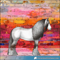 Horse Color:Gray Liver Red Roan Frame 
