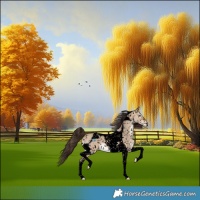 Horse Color:Void Bay Dun Tobiano Snowflake Varnish 