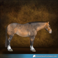 Horse Color:Buckskin Sabino 