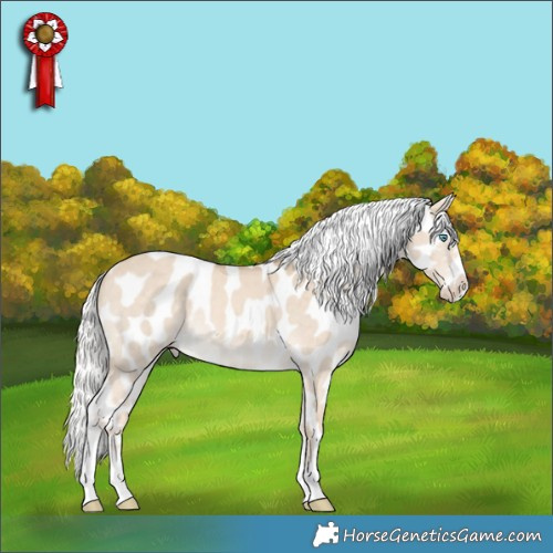 Horse Color:Silver Perlino Dun Sabino Appaloosa Brindle 