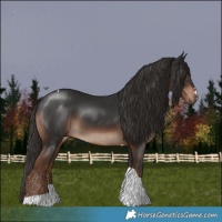 Horse Color:Liver Chestnut Tobiano 