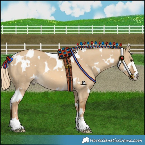 Horse Color:White Spotted Chocolate Palomino Dun 